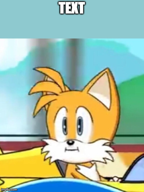 Tails hold up | TEXT | image tagged in tails hold up | made w/ Imgflip meme maker