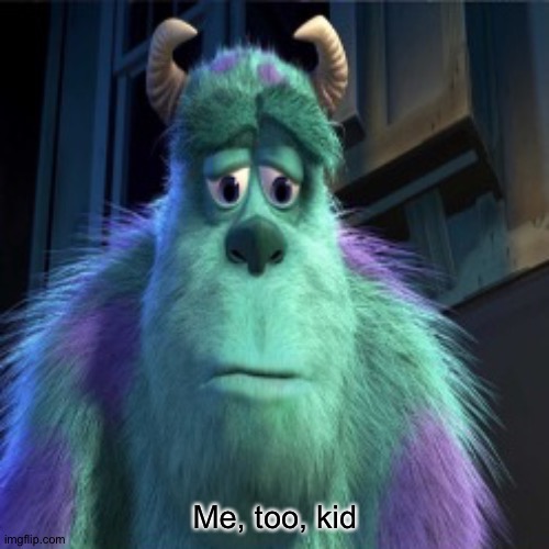 Sad sully | Me, too, kid | image tagged in sad sully | made w/ Imgflip meme maker