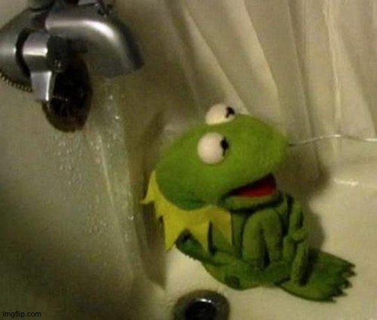 Kermit on Shower | image tagged in kermit on shower | made w/ Imgflip meme maker
