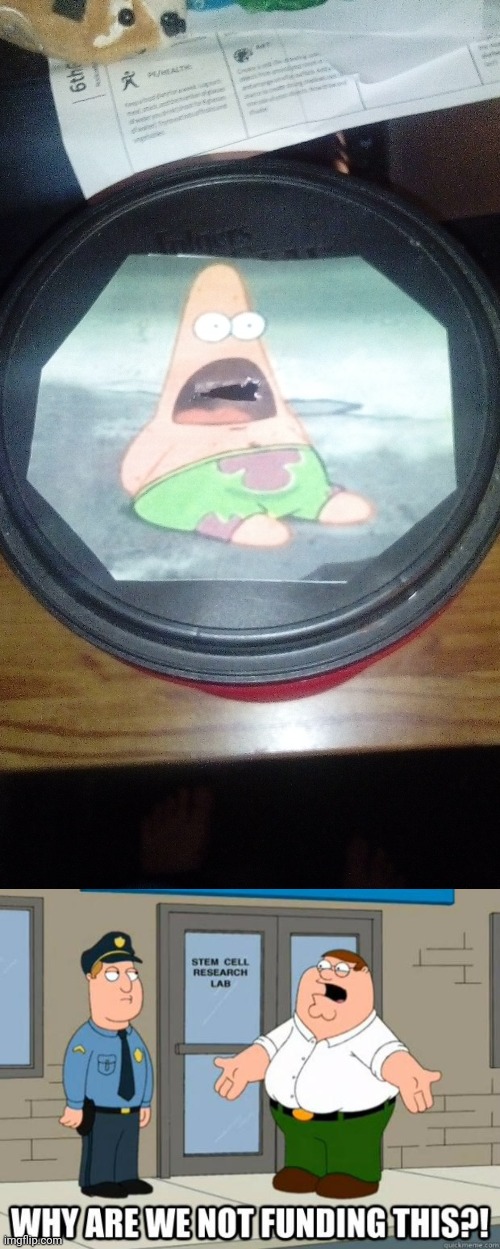 People Should Make More Of These Piggy Banks | image tagged in why are we not funding it,patrick star piggy bank | made w/ Imgflip meme maker