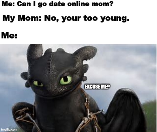Toothless, getting angry. | Me: Can I go date online mom? My Mom: No, your too young. Me:; EXCUSE ME? | image tagged in night fury | made w/ Imgflip meme maker