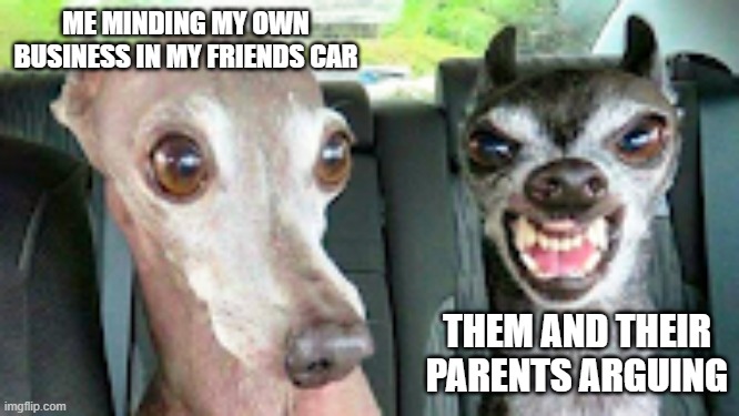 My Friends Car | ME MINDING MY OWN BUSINESS IN MY FRIENDS CAR; THEM AND THEIR PARENTS ARGUING | image tagged in 2 doggos,dogs,dog,angry,funny,memes | made w/ Imgflip meme maker