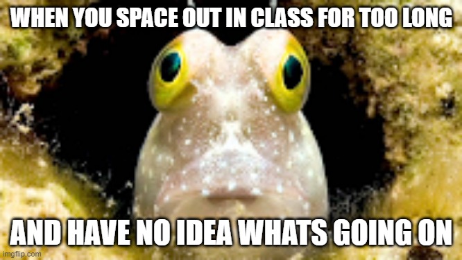 Class work... | WHEN YOU SPACE OUT IN CLASS FOR TOO LONG; AND HAVE NO IDEA WHATS GOING ON | image tagged in dead inside fish,fish,class,memes,funny | made w/ Imgflip meme maker