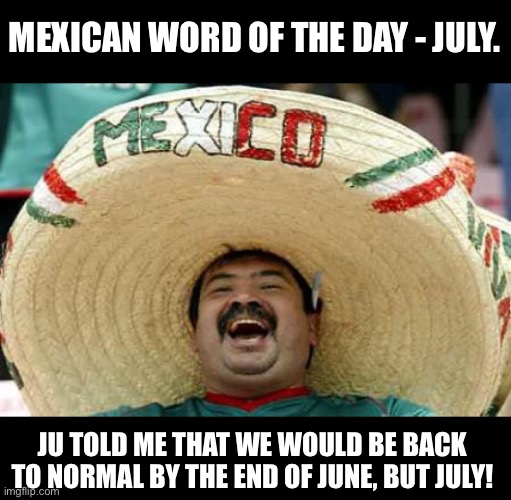 No normalcy yet | MEXICAN WORD OF THE DAY - JULY. JU TOLD ME THAT WE WOULD BE BACK TO NORMAL BY THE END OF JUNE, BUT JULY! | image tagged in happy mexican | made w/ Imgflip meme maker