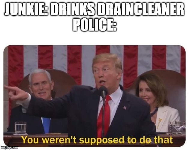 GHB joke | JUNKIE: DRINKS DRAINCLEANER
POLICE: | image tagged in you weren't supposed to do that | made w/ Imgflip meme maker