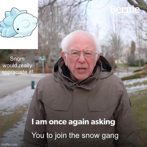 Bernie I Am Once Again Asking For Your Support Meme | Snom would really appreciate it! You to join the snow gang | image tagged in memes,bernie i am once again asking for your support | made w/ Imgflip meme maker
