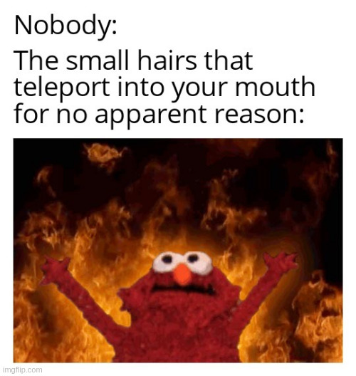 Those hairs! (found on reddit) | image tagged in elmo fire | made w/ Imgflip meme maker