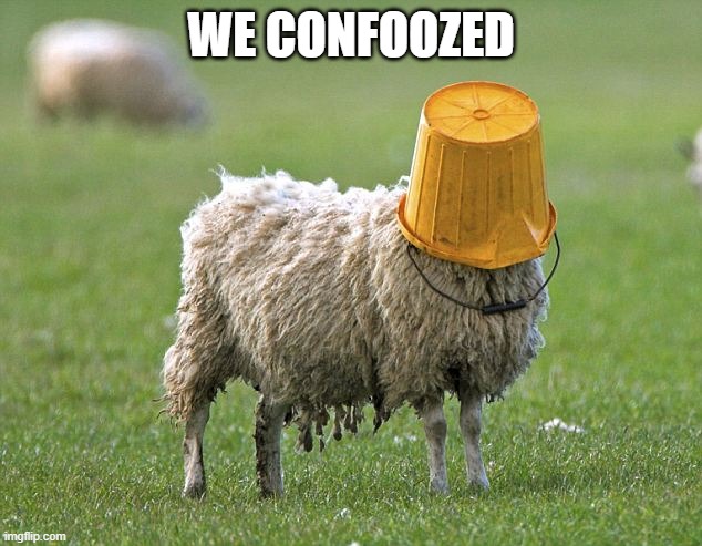 stupid sheep | WE CONFOOZED | image tagged in stupid sheep | made w/ Imgflip meme maker