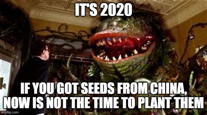 2020 Seeds from China | IT'S 2020; IF YOU GOT SEEDS FROM CHINA, NOW IS NOT THE TIME TO PLANT THEM | image tagged in 2020 seeds from china | made w/ Imgflip meme maker