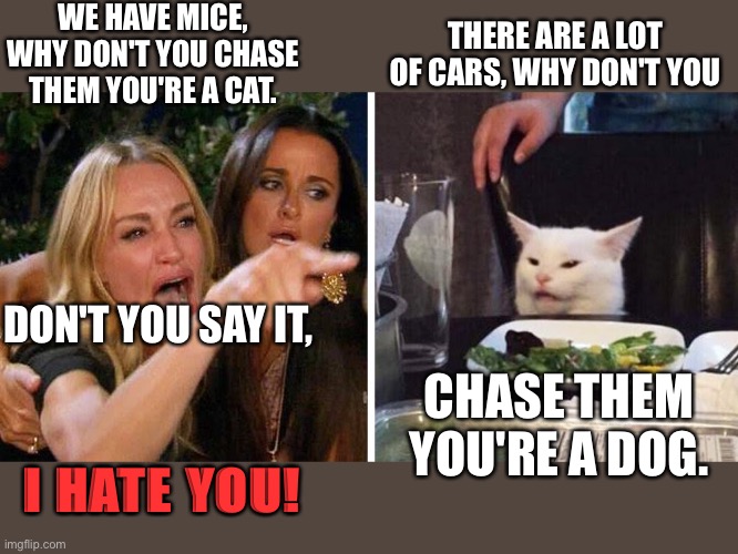 Woman yelling at cat | WE HAVE MICE, WHY DON'T YOU CHASE THEM YOU'RE A CAT. THERE ARE A LOT OF CARS, WHY DON'T YOU; DON'T YOU SAY IT, CHASE THEM YOU'RE A DOG. I HATE YOU! | image tagged in smudge the cat | made w/ Imgflip meme maker