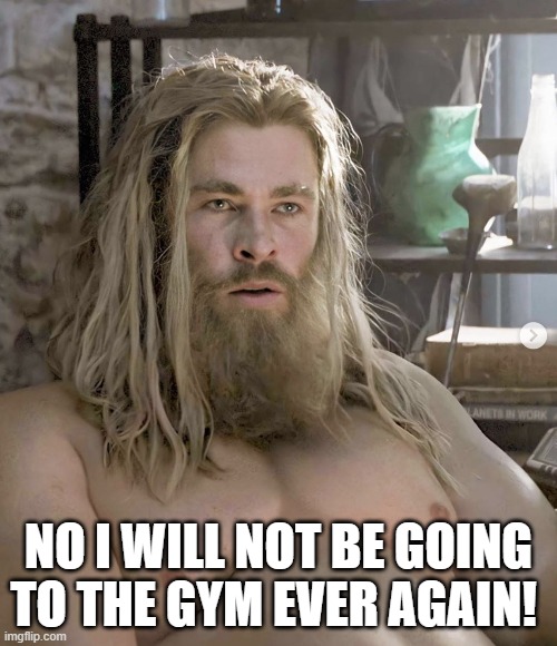 Fat Thor | NO I WILL NOT BE GOING TO THE GYM EVER AGAIN! | image tagged in thor | made w/ Imgflip meme maker
