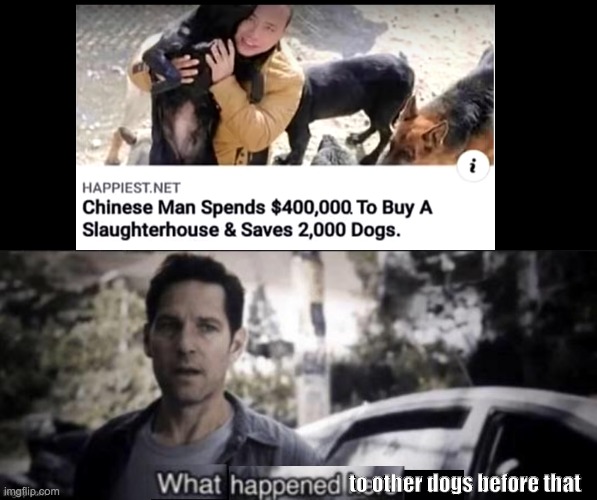 What happened here | to other dogs before that | image tagged in what happened here | made w/ Imgflip meme maker