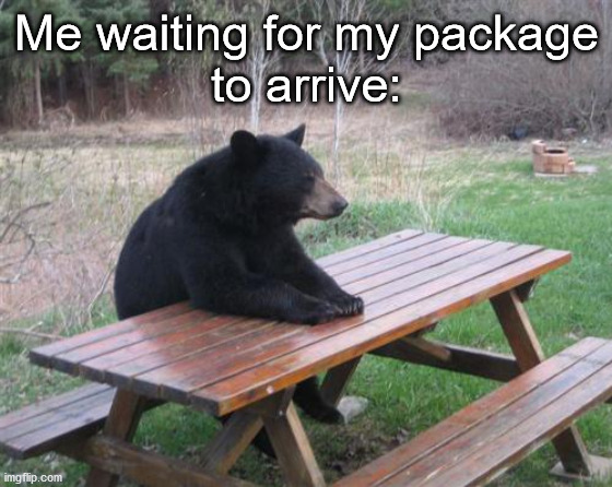 lol | Me waiting for my package
to arrive: | image tagged in memes,bad luck bear | made w/ Imgflip meme maker