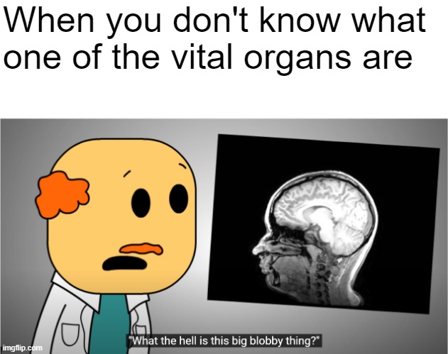 Brewstewfilms Dumb Doctor | When you don't know what one of the vital organs are | image tagged in brewstewfilms dumb doctor | made w/ Imgflip meme maker