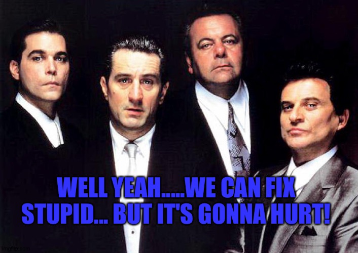 goodfellas | WELL YEAH.....WE CAN FIX STUPID... BUT IT'S GONNA HURT! | image tagged in goodfellas | made w/ Imgflip meme maker