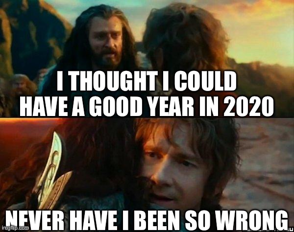 Never Have I Been So Wrong | I THOUGHT I COULD HAVE A GOOD YEAR IN 2020; NEVER HAVE I BEEN SO WRONG | image tagged in never have i been so wrong | made w/ Imgflip meme maker