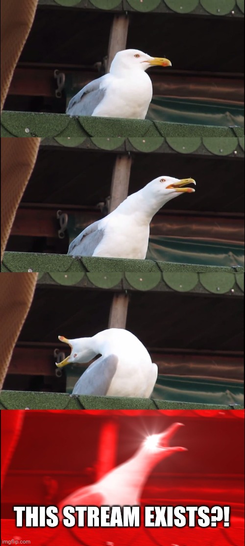 about time | THIS STREAM EXISTS?! | image tagged in memes,inhaling seagull | made w/ Imgflip meme maker
