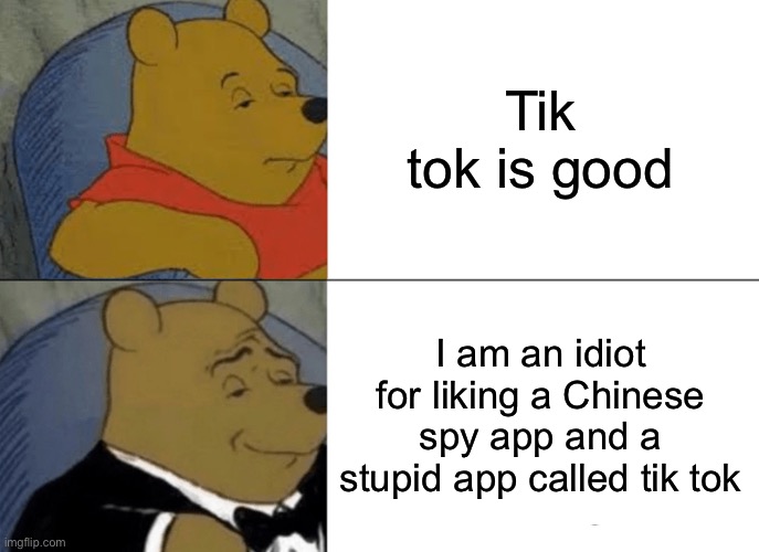 Tuxedo Winnie The Pooh Meme | Tik tok is good; I am an idiot for liking a Chinese spy app and a stupid app called tik tok | image tagged in memes,tuxedo winnie the pooh,tiktok | made w/ Imgflip meme maker