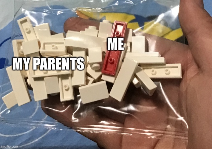 The child always looks different (template) | ME; MY PARENTS | image tagged in lego misfit | made w/ Imgflip meme maker