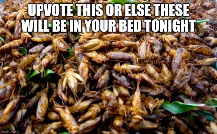 GIMME THEM UPVOTES | UPVOTE THIS OR ELSE THESE WILL BE IN YOUR BED TONIGHT | image tagged in insects | made w/ Imgflip meme maker