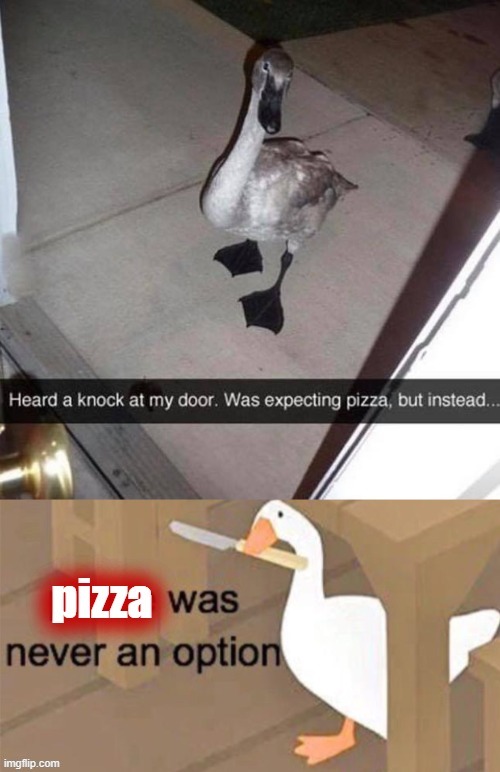 uh oh! | image tagged in untitled goose peace was never an option,goose,pizza,uh oh,funny,time to die | made w/ Imgflip meme maker