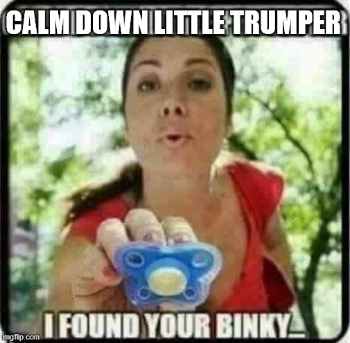 Trumpers | CALM DOWN LITTLE TRUMPER | image tagged in trumper binky,republicans,democrats,scumbag republicans | made w/ Imgflip meme maker