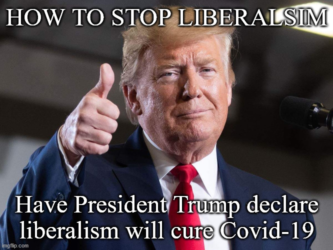 How to Stop Liberalism | HOW TO STOP LIBERALSIM; Have President Trump declare liberalism will cure Covid-19 | image tagged in trump,liberals,stop liberalism,covid-19 | made w/ Imgflip meme maker