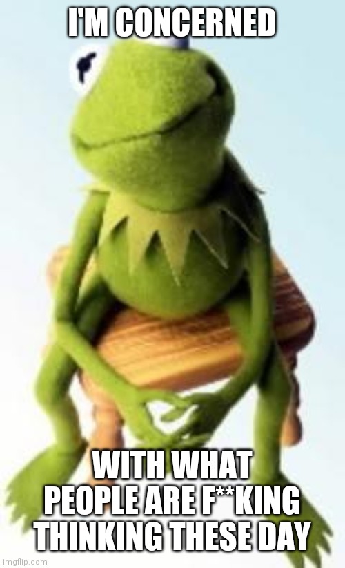 Concerned Kermit | I'M CONCERNED WITH WHAT PEOPLE ARE F**KING THINKING THESE DAY | image tagged in concerned kermit | made w/ Imgflip meme maker