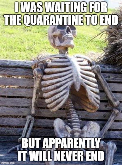 Esteban Rojas | I WAS WAITING FOR THE QUARANTINE TO END; BUT APPARENTLY IT WILL NEVER END | image tagged in memes,waiting skeleton | made w/ Imgflip meme maker