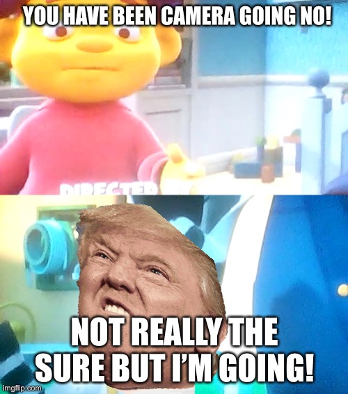 YOU HAVE BEEN CAMERA GOING NO! NOT REALLY THE SURE BUT I’M GOING! | made w/ Imgflip meme maker