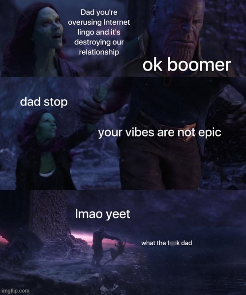 whats good for the goose eh | image tagged in yeet,yeet the child,ok boomer,vibes,thanos,repost | made w/ Imgflip meme maker