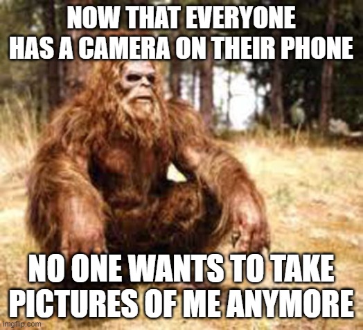 bigfoot | NOW THAT EVERYONE HAS A CAMERA ON THEIR PHONE; NO ONE WANTS TO TAKE PICTURES OF ME ANYMORE | image tagged in bigfoot | made w/ Imgflip meme maker