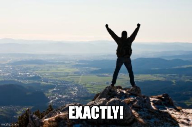 Shout It from the Mountain Tops | EXACTLY! | image tagged in shout it from the mountain tops | made w/ Imgflip meme maker