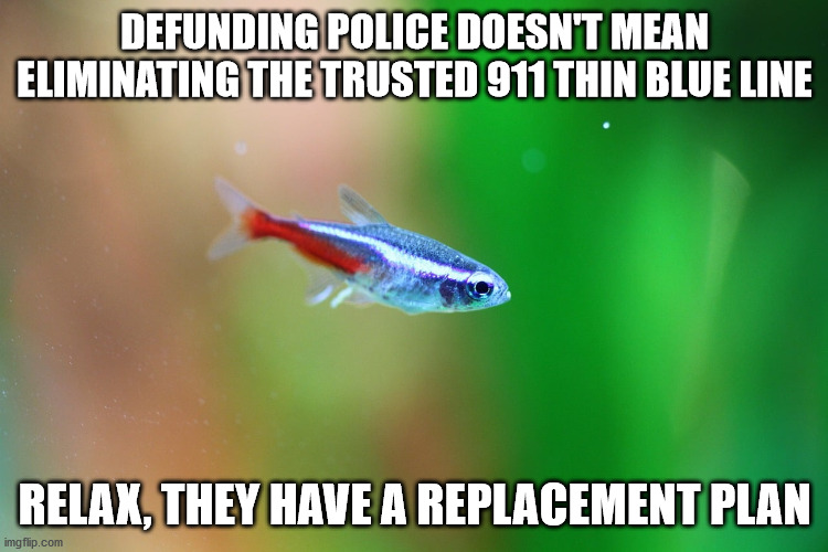 Replacing the thin blue line | DEFUNDING POLICE DOESN'T MEAN ELIMINATING THE TRUSTED 911 THIN BLUE LINE; RELAX, THEY HAVE A REPLACEMENT PLAN | image tagged in defund,support police,police,trump,thin blue line,riots | made w/ Imgflip meme maker