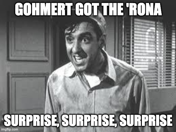 Gohmert got the 'Rona ... Surprise, Surprise, Surprise | GOHMERT GOT THE 'RONA; SURPRISE, SURPRISE, SURPRISE | image tagged in gomer pyle | made w/ Imgflip meme maker
