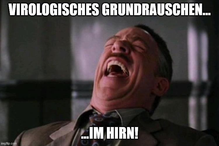 rofl | VIROLOGISCHES GRUNDRAUSCHEN... ...IM HIRN! | image tagged in rofl,coronavirus,corona virus,corona,austria | made w/ Imgflip meme maker