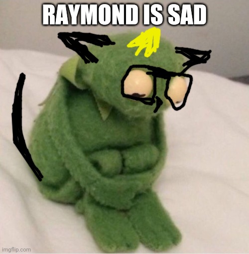 Sad Kermit | RAYMOND IS SAD | image tagged in sad kermit | made w/ Imgflip meme maker
