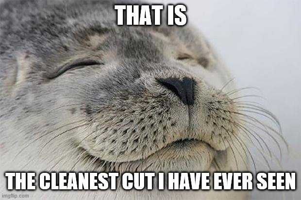 Satisfied Seal Meme | THAT IS THE CLEANEST CUT I HAVE EVER SEEN | image tagged in memes,satisfied seal | made w/ Imgflip meme maker