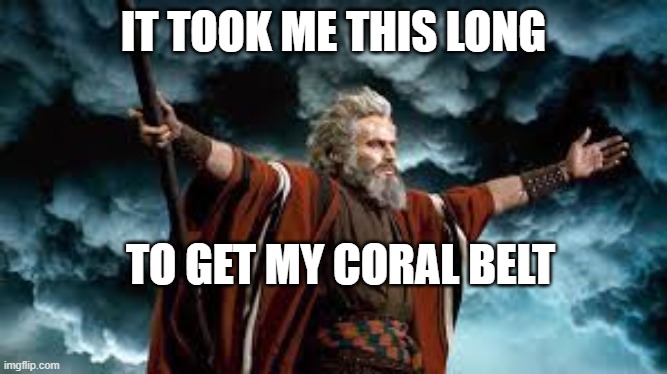 Moses Coral Belt | IT TOOK ME THIS LONG; TO GET MY CORAL BELT | image tagged in brazillian jiu jitsu,bjj,gracie jiu jitsu,jiu jitsu | made w/ Imgflip meme maker