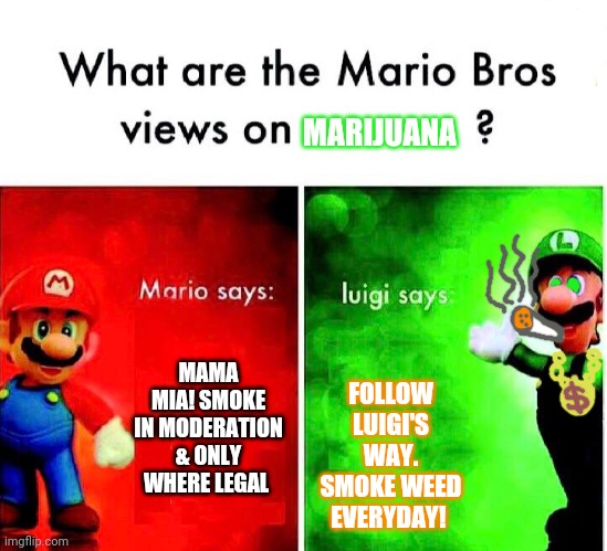 Mario Luigi | MARIJUANA; MAMA MIA! SMOKE IN MODERATION & ONLY WHERE LEGAL; FOLLOW LUIGI'S WAY. SMOKE WEED EVERYDAY! | image tagged in mario luigi | made w/ Imgflip meme maker