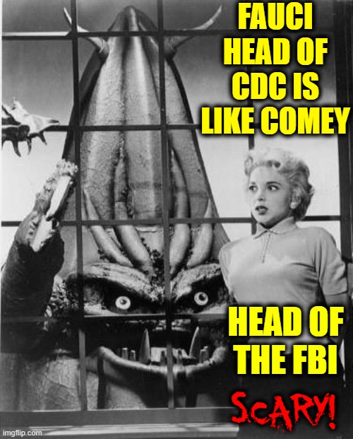 Trump's Election has shown the Danger of Lifelong Bureaucrats like Fauci, Comey, Pelosi | FAUCI HEAD OF CDC IS LIKE COMEY; HEAD OF
THE FBI; SCARY! | image tagged in vince vance,dr fauci,fbi director james comey,cdc,memes,sci-fi | made w/ Imgflip meme maker