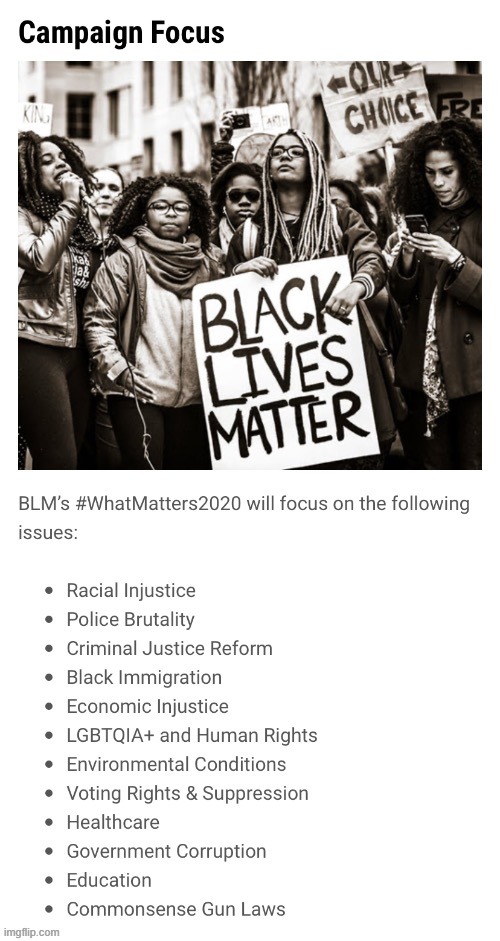 Black lives matter priorities | image tagged in black lives matter priorities | made w/ Imgflip meme maker