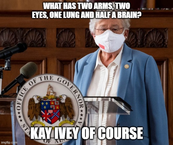 KAY IVEY | WHAT HAS TWO ARMS, TWO EYES, ONE LUNG AND HALF A BRAIN? KAY IVEY OF COURSE | image tagged in idiot,moron,covid-19,hitler | made w/ Imgflip meme maker