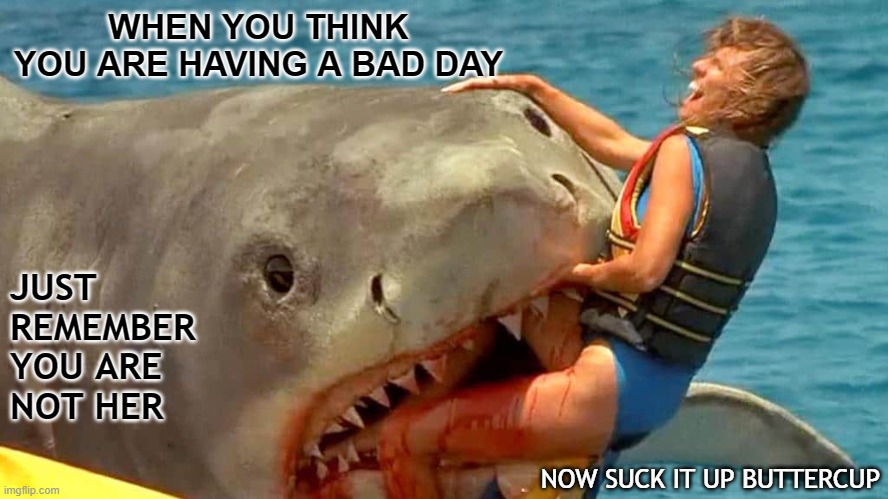 Having a Bad Day | WHEN YOU THINK YOU ARE HAVING A BAD DAY; JUST REMEMBER YOU ARE
NOT HER; NOW SUCK IT UP BUTTERCUP | image tagged in small problems,shark attack,first world problems,suck it up,quit your complaining | made w/ Imgflip meme maker