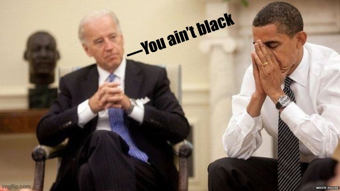 Biden Obama | —You ain’t black | image tagged in biden obama | made w/ Imgflip meme maker