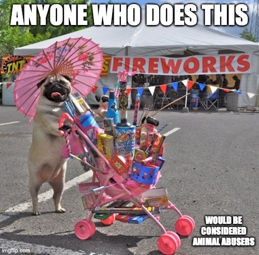 Pug With Fireworks | ANYONE WHO DOES THIS; WOULD BE CONSIDERED ANIMAL ABUSERS | image tagged in 4th of july,dog,pug,fireworks,memes | made w/ Imgflip meme maker