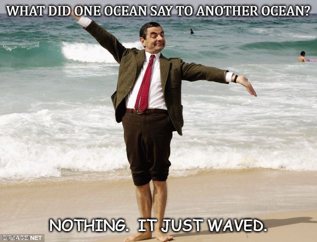 Daily Bad Dad Joke July 29 2020 | WHAT DID ONE OCEAN SAY TO ANOTHER OCEAN? NOTHING.  IT JUST WAVED. | image tagged in mr bean at the ocean | made w/ Imgflip meme maker