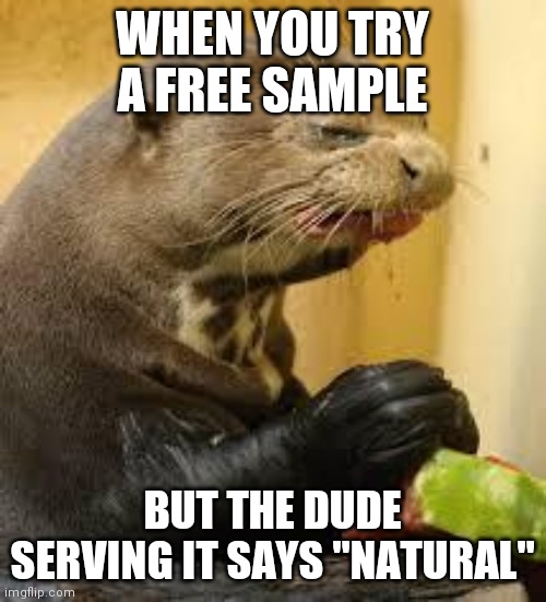 Disgusted Otter | WHEN YOU TRY A FREE SAMPLE; BUT THE DUDE SERVING IT SAYS "NATURAL" | image tagged in disgusted otter | made w/ Imgflip meme maker