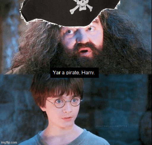 One point to ryffindor! | image tagged in pirate,harry potter | made w/ Imgflip meme maker