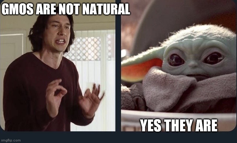 Kylo Ren Baby Yoda | GMOS ARE NOT NATURAL; YES THEY ARE | image tagged in kylo ren baby yoda | made w/ Imgflip meme maker